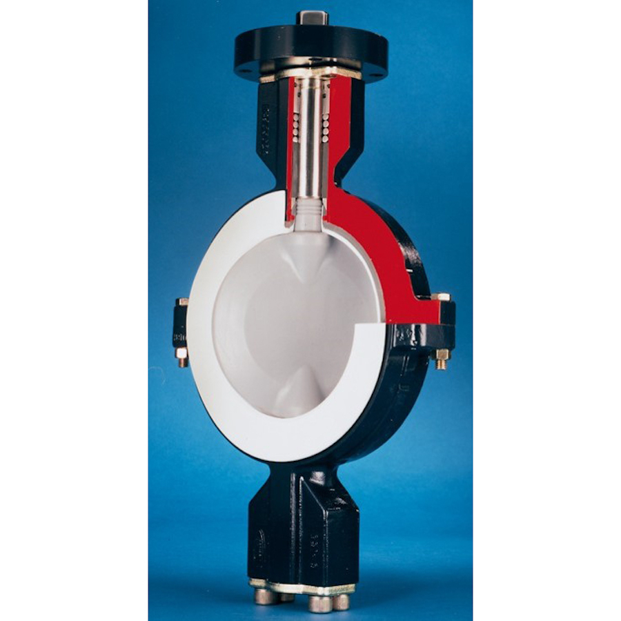 Flowserve BTV